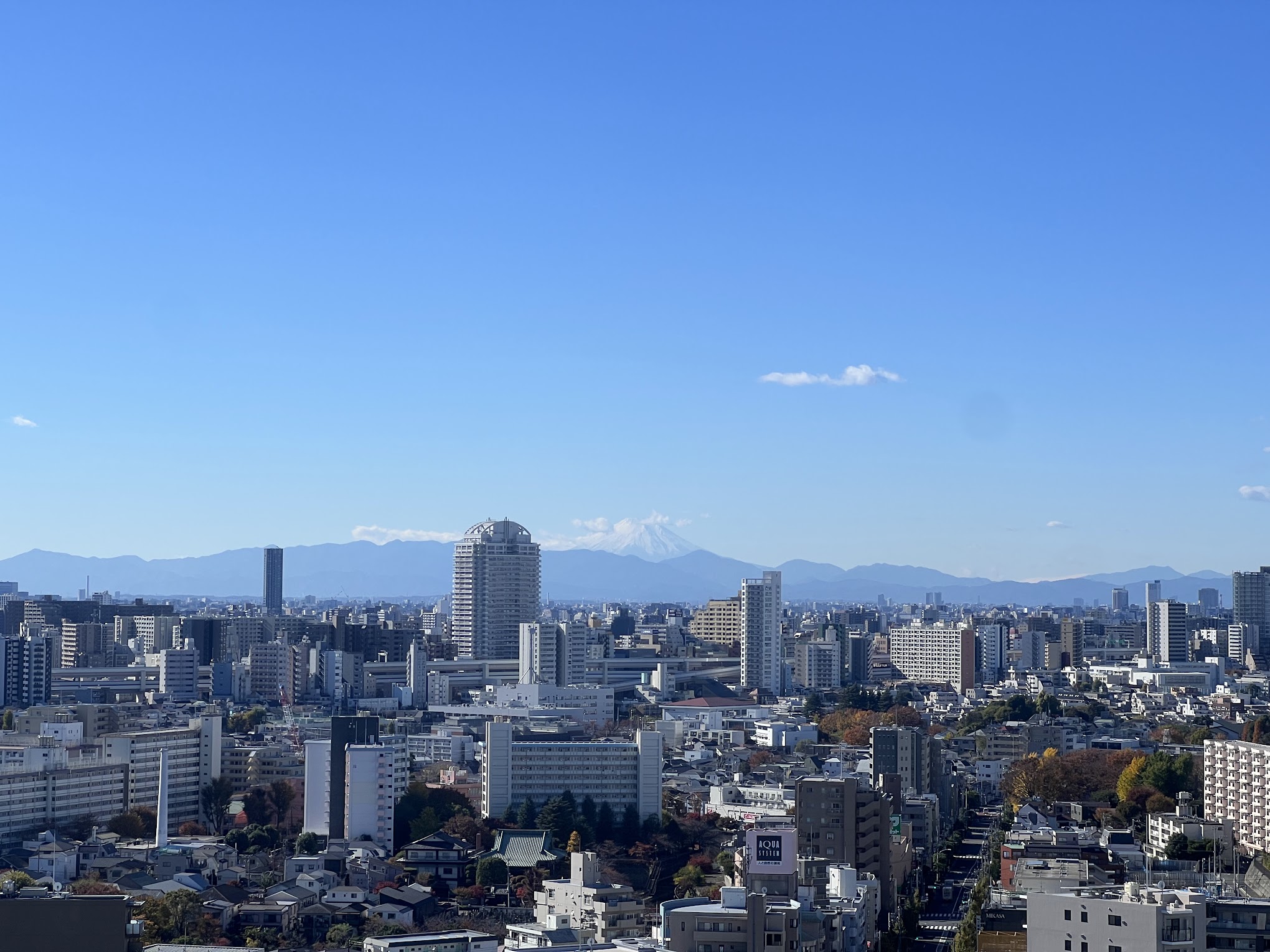 合同会社 iuni 設立のお知らせ